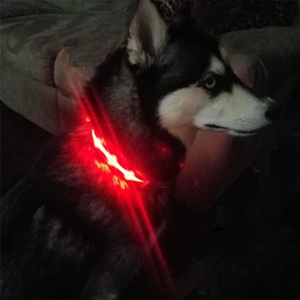 Rechargeable LED Light-Up Dog Safety Collar