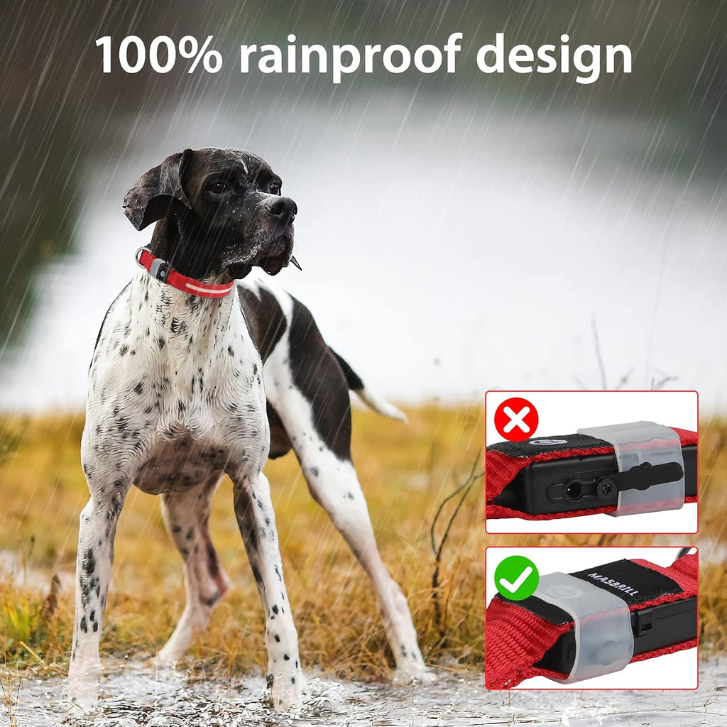 Rechargeable LED Light-Up Dog Safety Collar