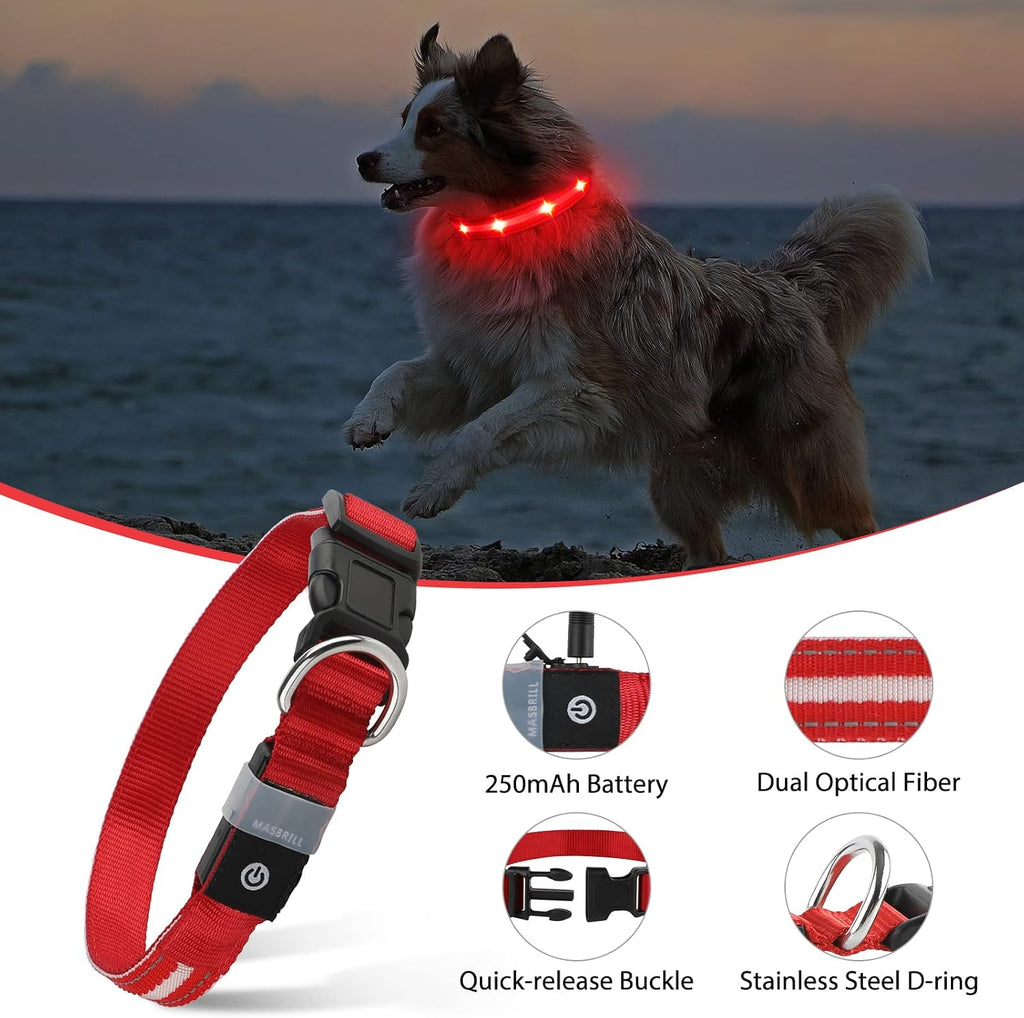Rechargeable LED Light-Up Dog Safety Collar