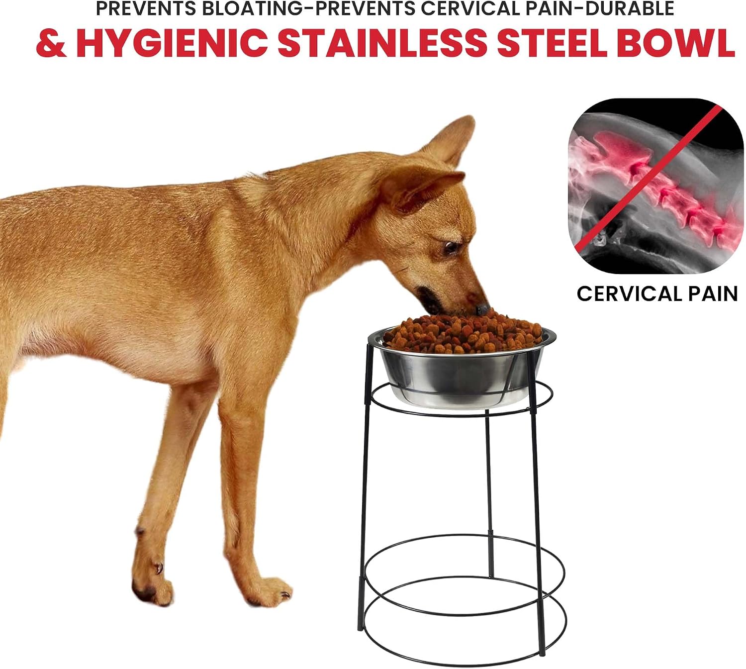 Elevated Dog Bowl Stand with Stainless Steel Bowl, 15in