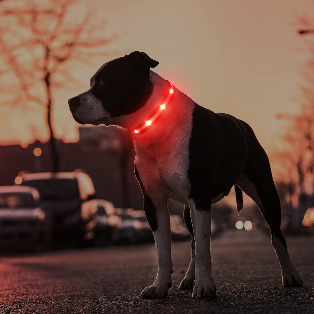 Rechargeable LED Light-Up Dog Safety Collar
