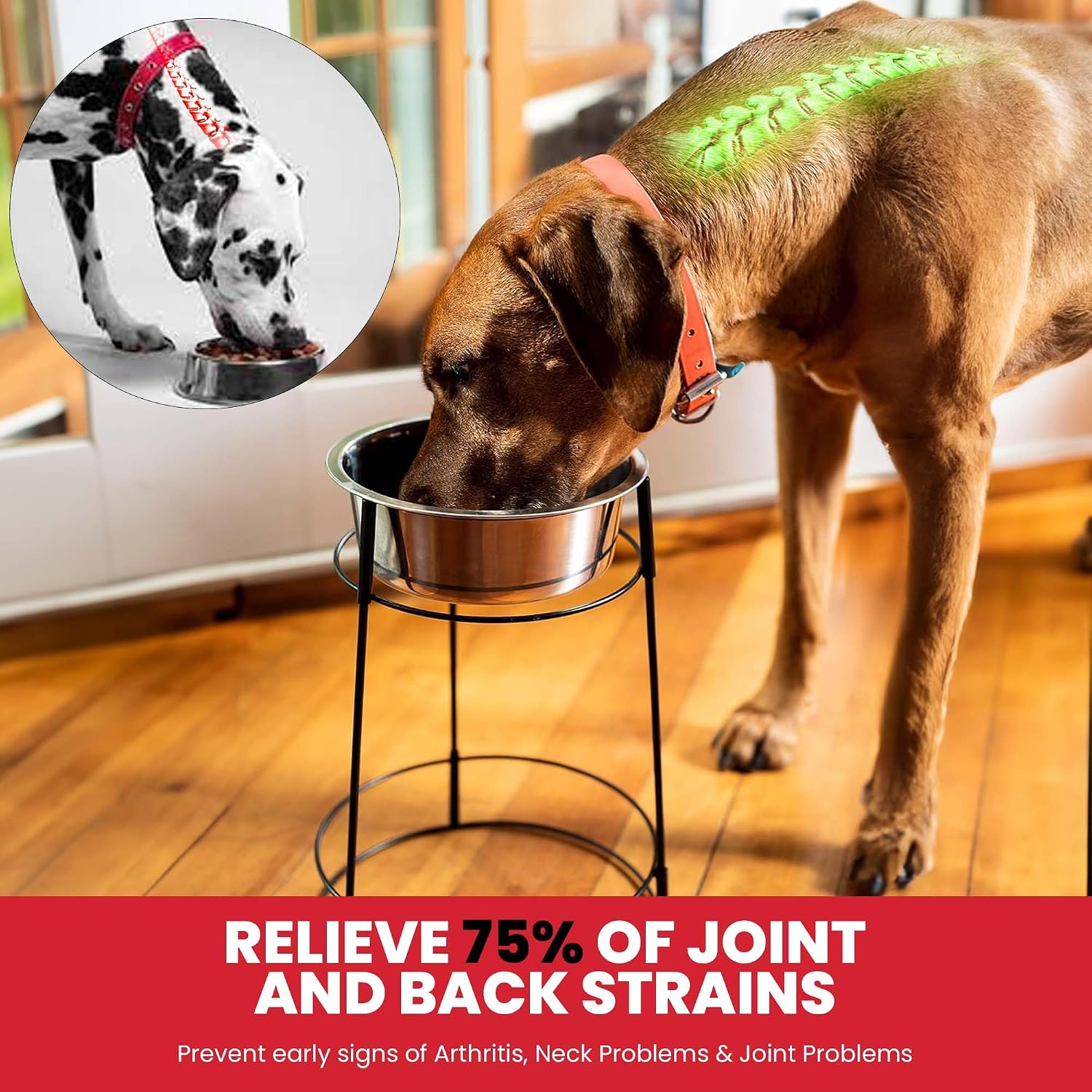 Elevated Dog Bowl Stand with Stainless Steel Bowl, 15in