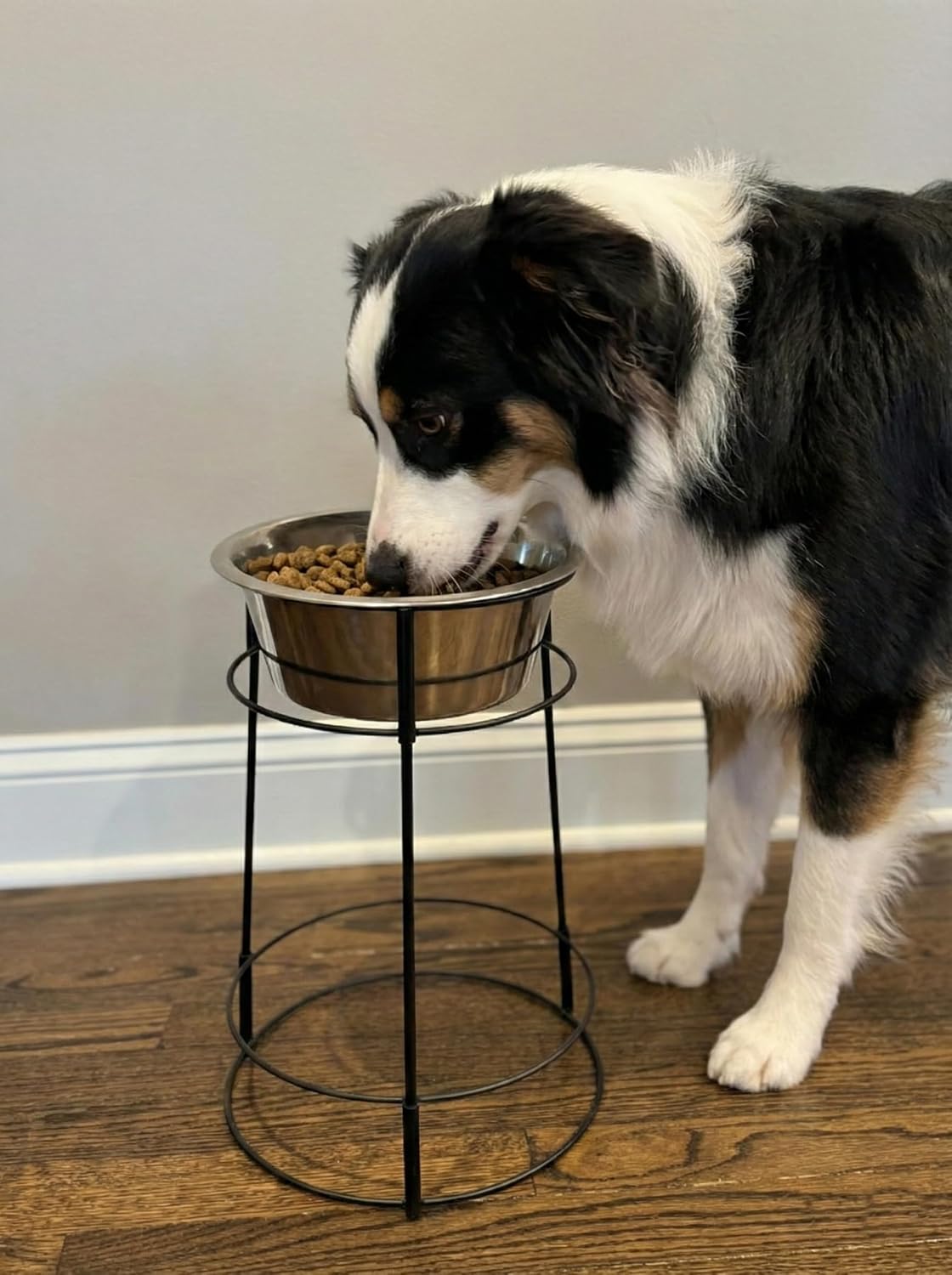 Elevated Dog Bowl Stand with Stainless Steel Bowl, 15in