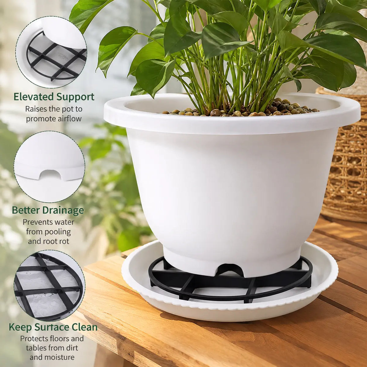 Breathable Plant Pot Riser Stand – Prevents Standing Water & Root Rot